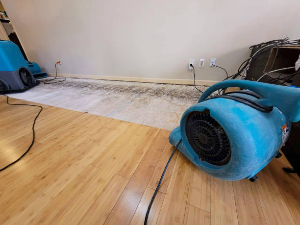 Professional Sewage Cleanup technician working in Brownsville, IN